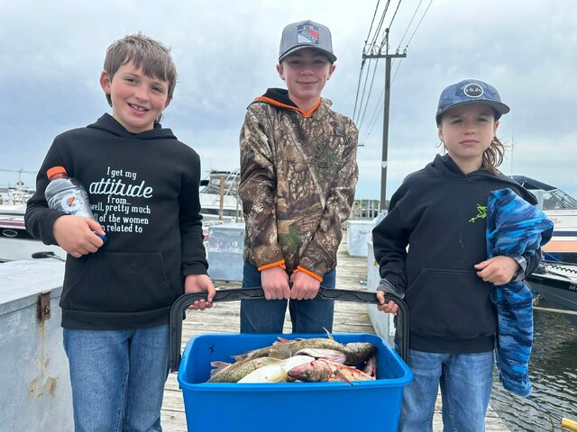 Listing image 1201428