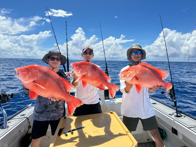 Listing image 1246260