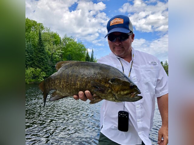 Listing image 765017