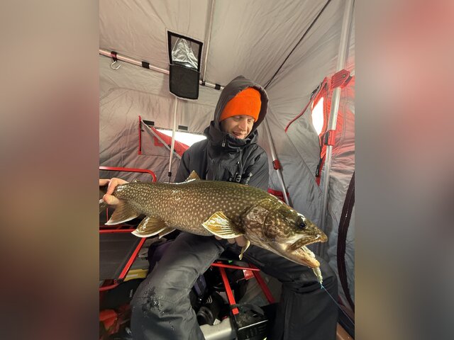 Listing image 1262188