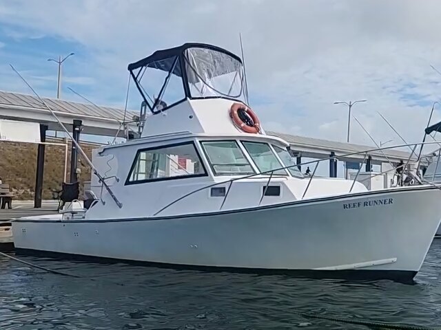 Listing image 1154199