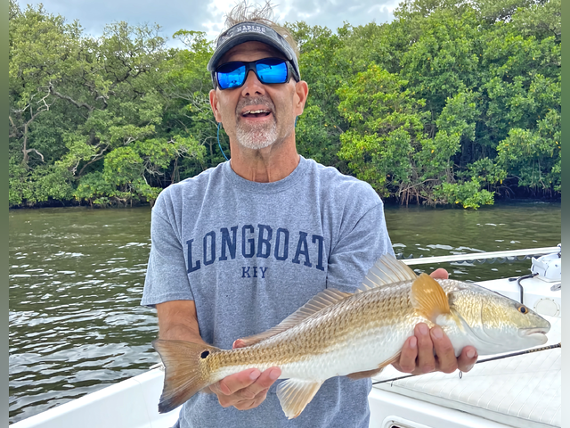 Listing image 914290