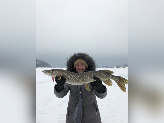 Listing image 772154