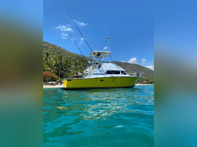 Listing image 772528