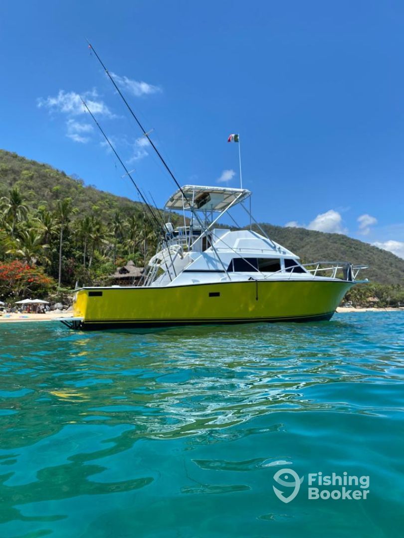 Boat image