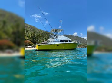 PV Sail, Fishing & Tours – Top Gun thumbnail