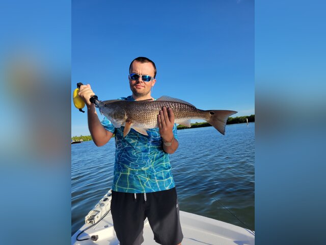 Listing image 772749