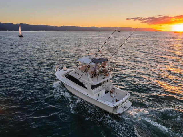 Listing image 1006095