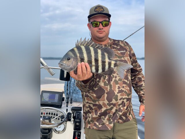 Listing image 774151