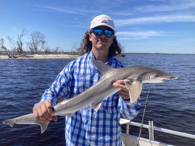 Listing image 944905