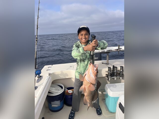 Listing image 1274798