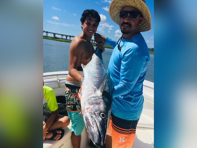 Listing image 776068