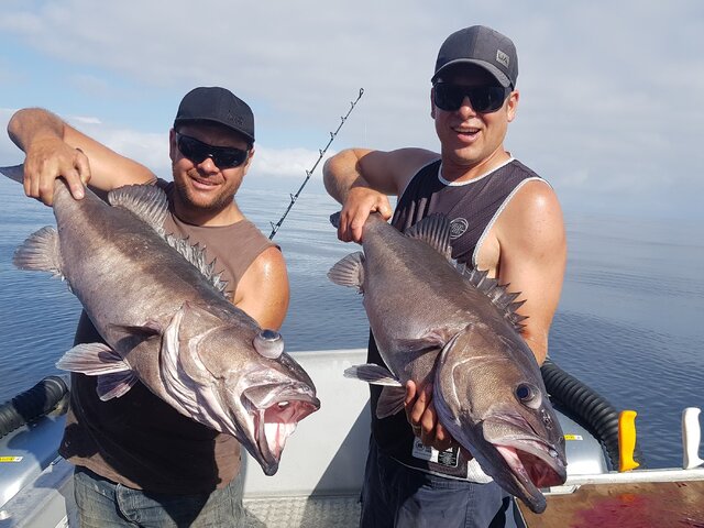 Listing image 777253