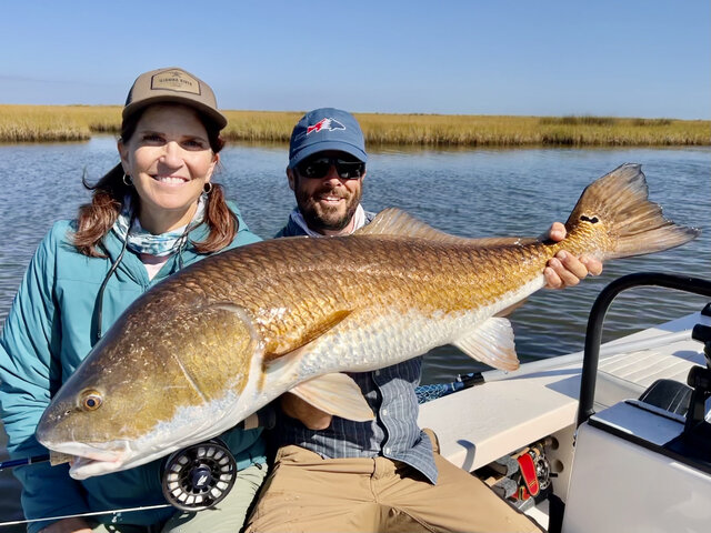 Listing image 951355