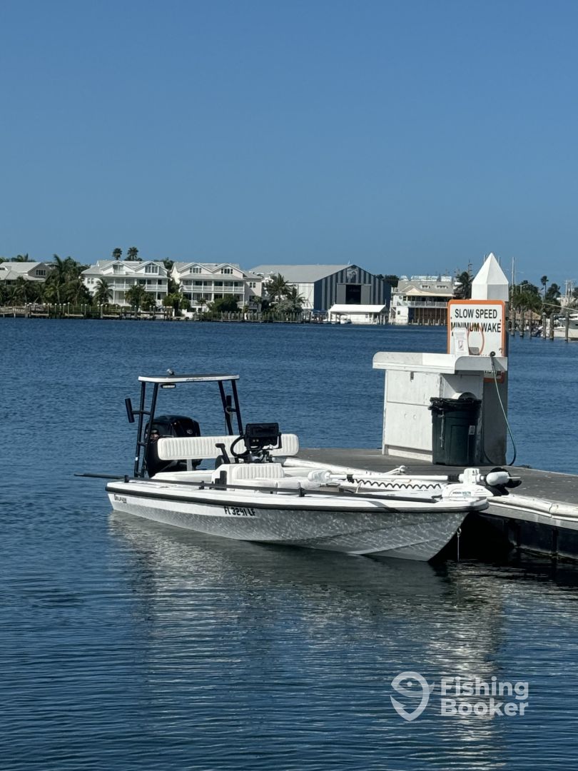 Boat Image