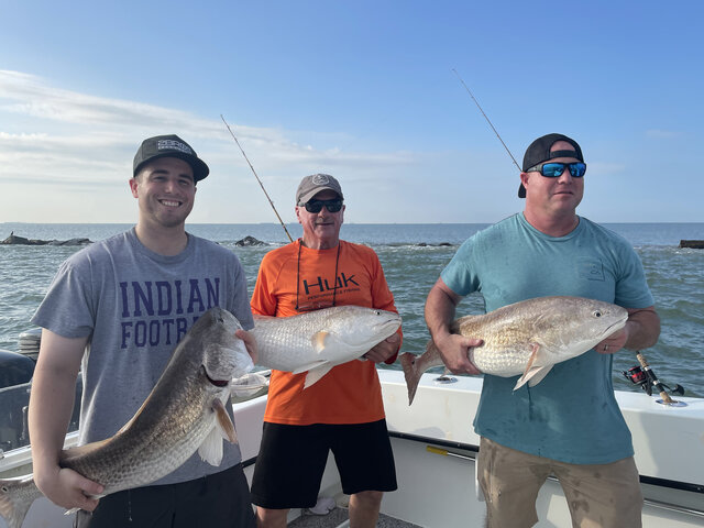 Listing image 664772