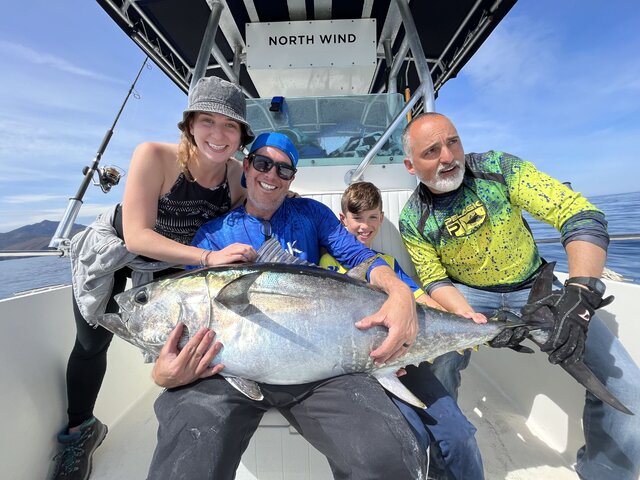 Listing image 856496