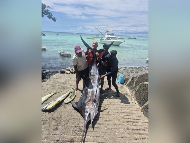 Listing image 1294167