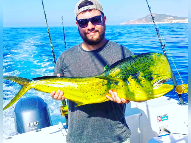 Listing image 786214