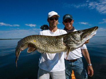 Trophy Pike fishing Netherlands thumbnail