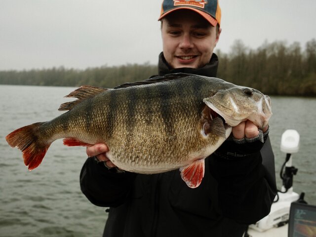 Listing image 1208619