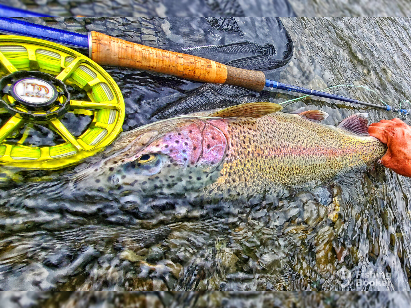 リール Kiraku Halcyone Large Trout. #6-#8 Ron Doebler Fly Fishing – Kenai River - Updated 2026 Prices