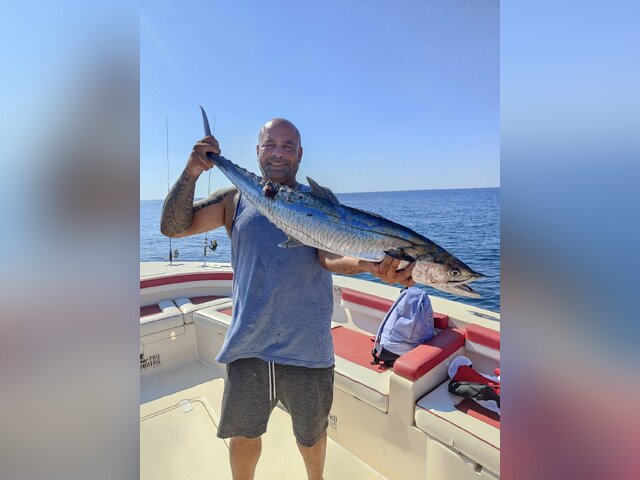 Listing image 786223