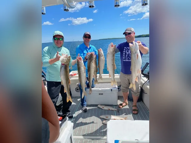 Listing image 861516