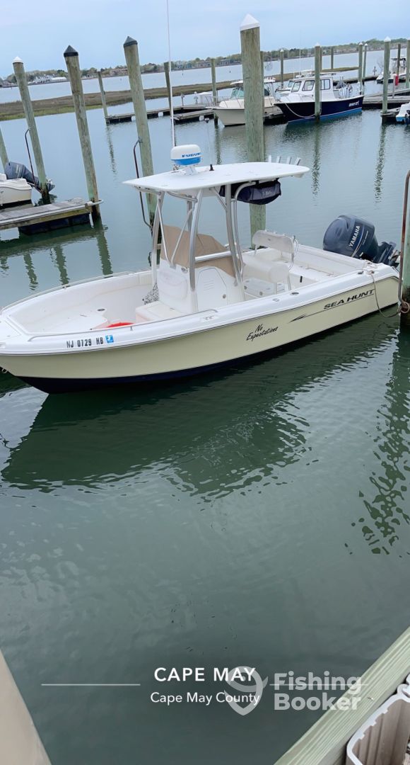 Boat Image