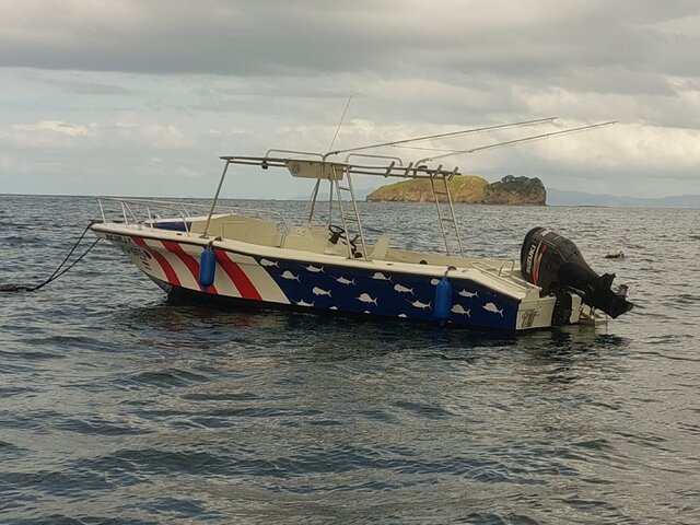 Listing image 782010