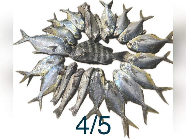 Listing image 1014796