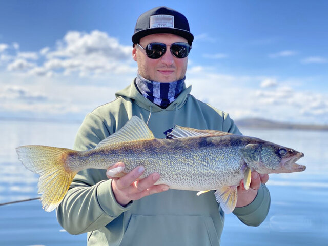 Listing image 785950