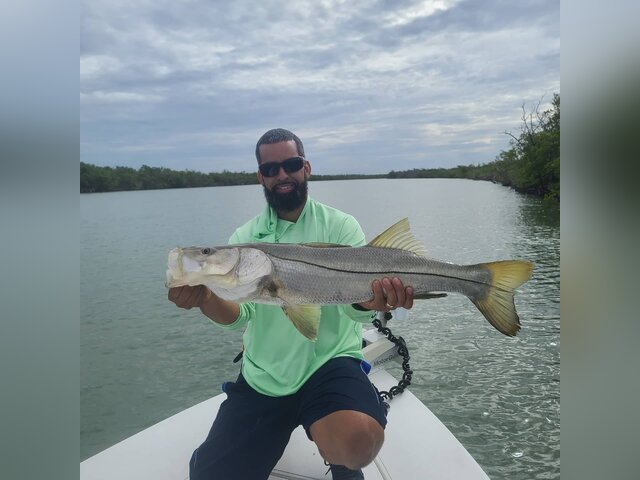 Listing image 782444