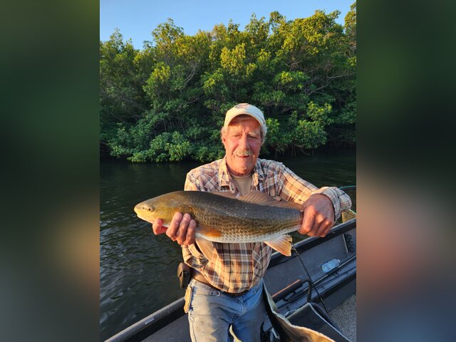 Listing image 947130