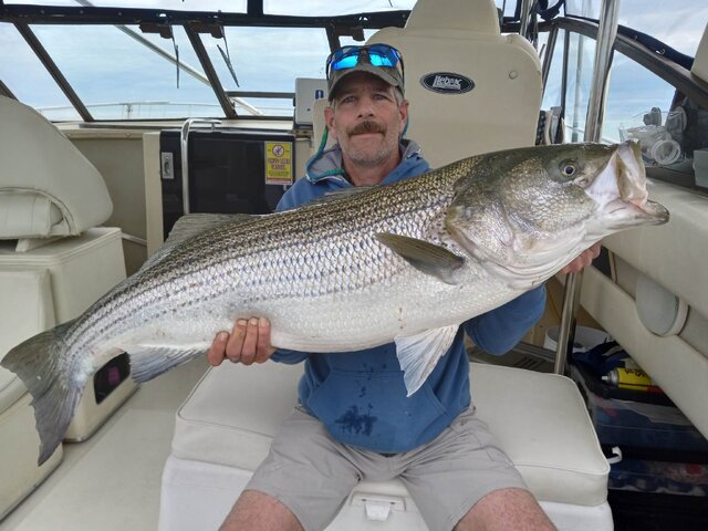 Listing image 787741