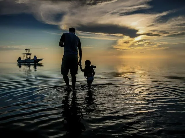 Listing image 788331