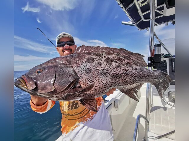 Listing image 789494