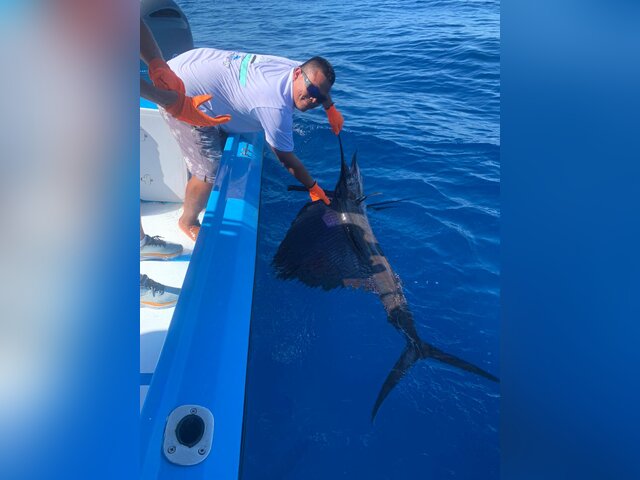 Listing image 1074653