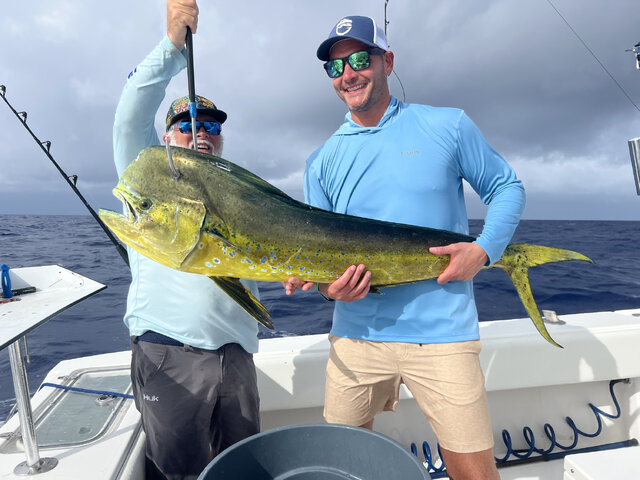 Listing image 928576