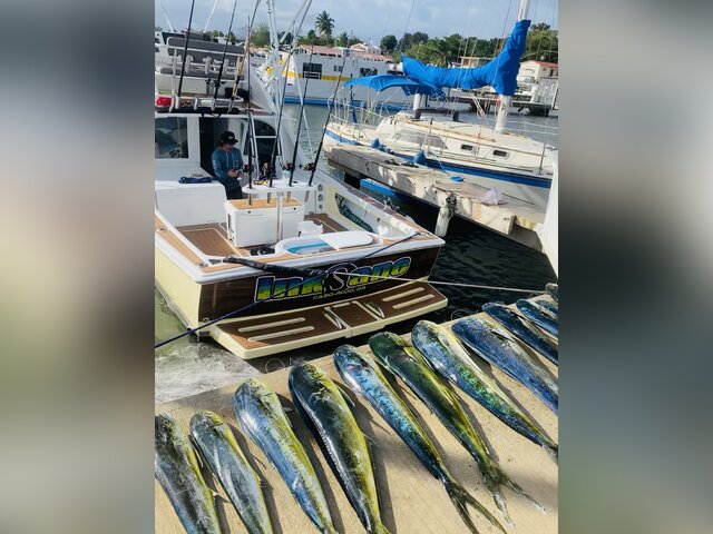 Listing image 790381