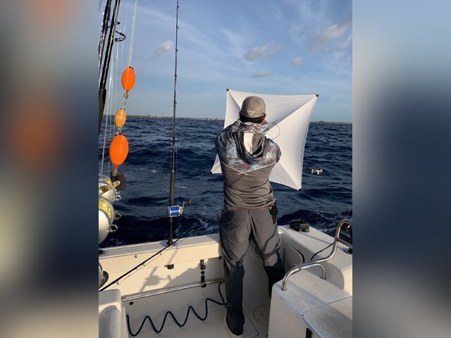 Listing image 791744