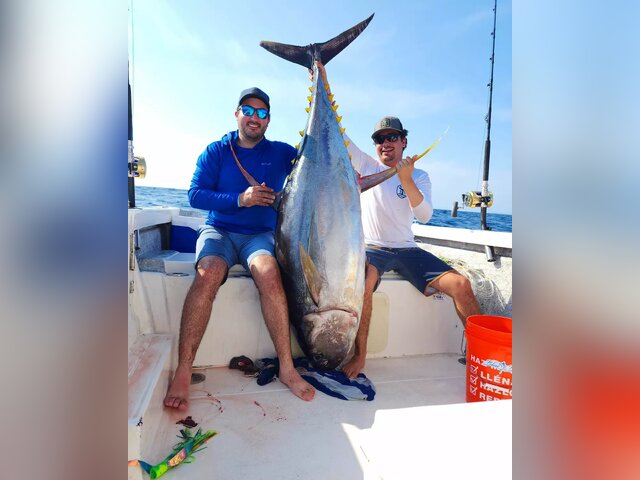 Listing image 856243