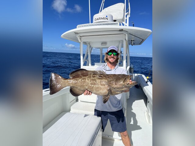 Listing image 795856