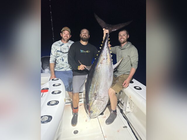 Listing image 1007142