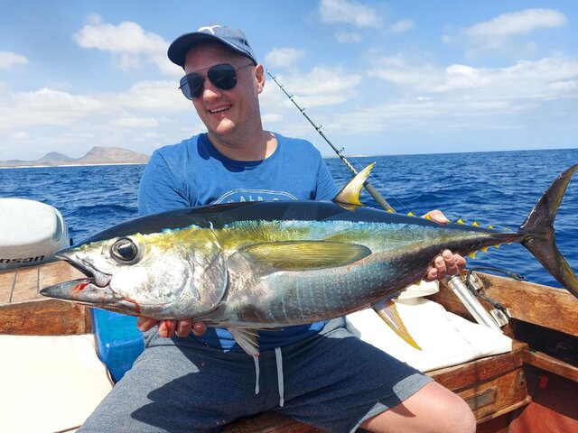 Listing image 797642