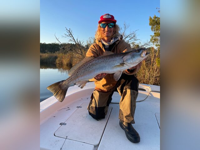 Listing image 795510