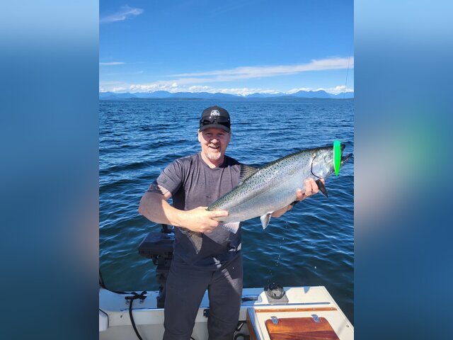 Listing image 796579