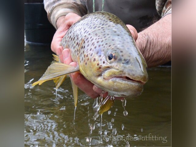 Listing image 797000