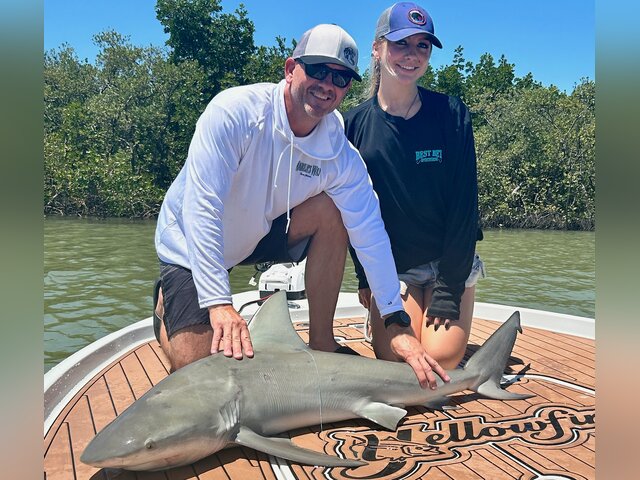 Listing image 933171