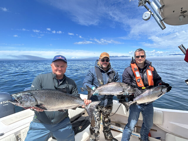 Listing image 911271